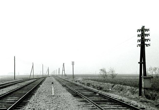 Blik op het emplacement van Holwerd met telegraafmasten op 20 april 1958.