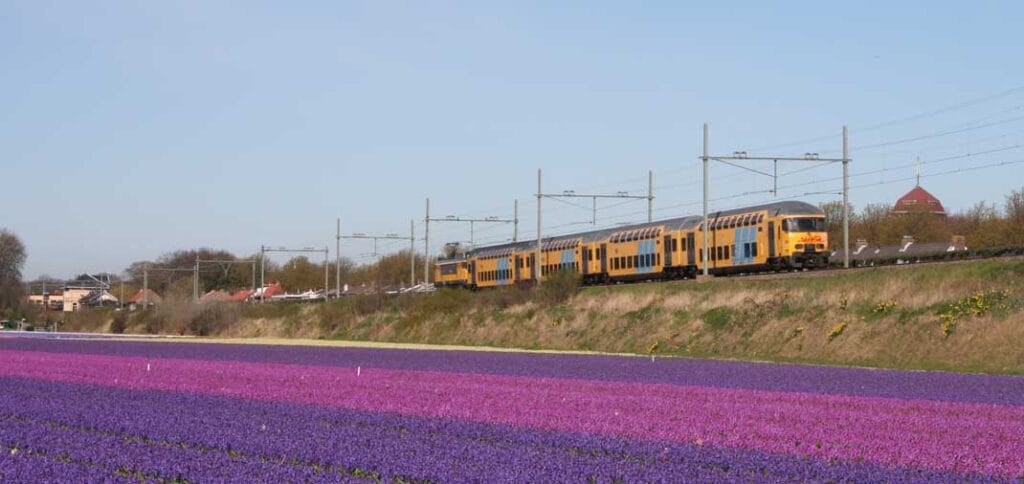 Deze foto toont een dubbeldekkertrein, geduwd door NS-locomotief 1719, tussen de in bloei staande bolgewassen tussen Heemstede en Hillegom ter hoogte van Vogelenzang op 18 april 2010. Foto: Oege Kleijne.
