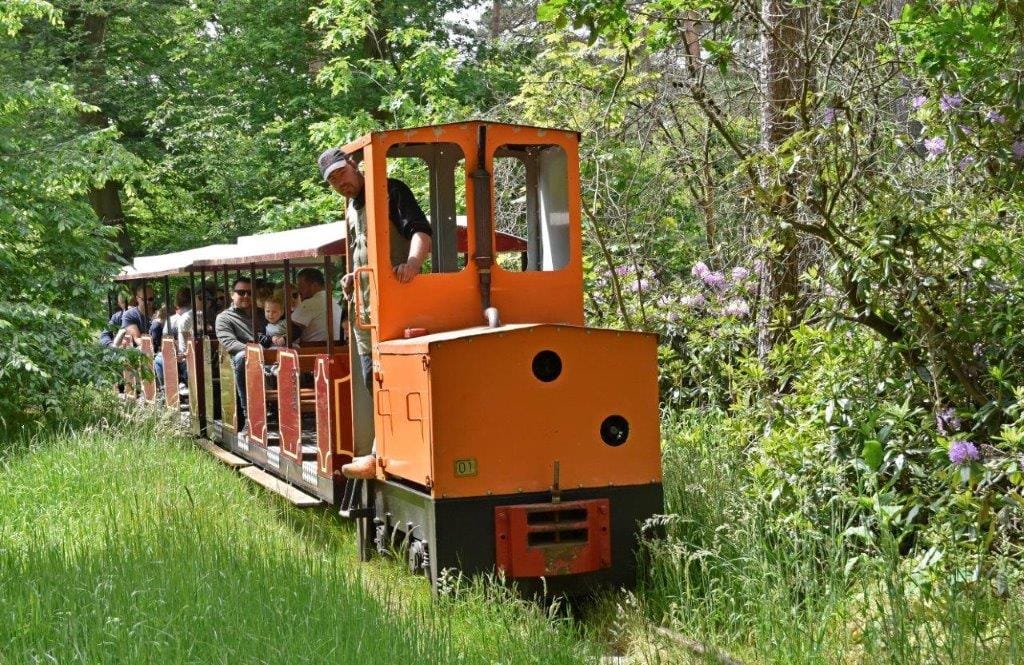 Locomotief 1 "Keef" van het Leemspoor in Rijssen met een personentreintje. Foto: Gerrit Averesch.